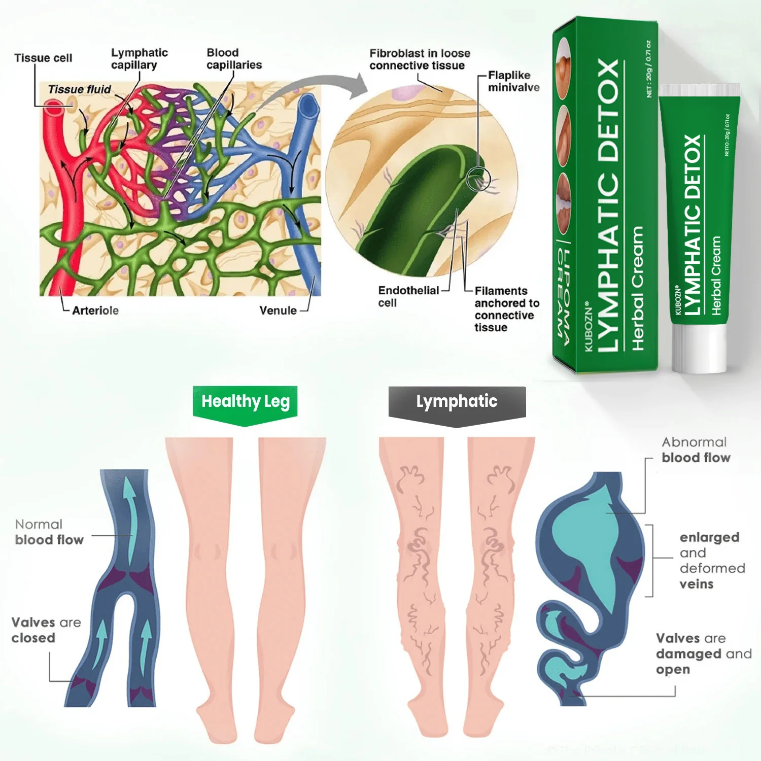 🌿KUBOZN® Lymphatic Detox Herbal Cream - Image 4